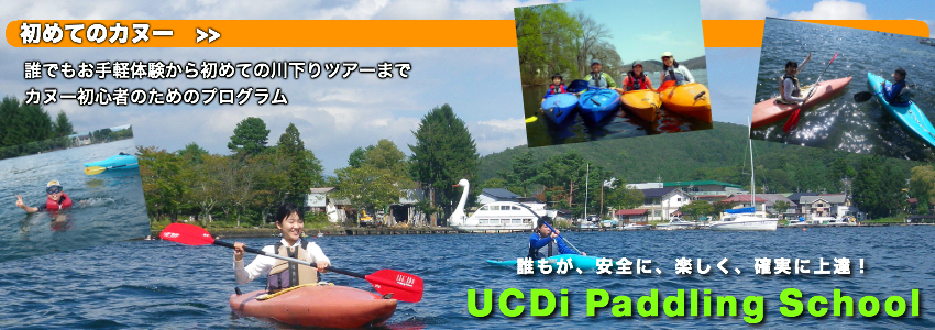 novice2015.png